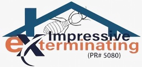Impressive Exterminating Pest Control