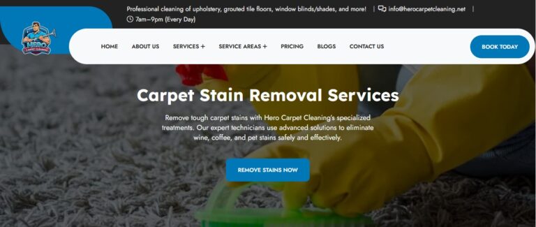Hero Carpet Cleaning carpet stain removal Google Ads landing page