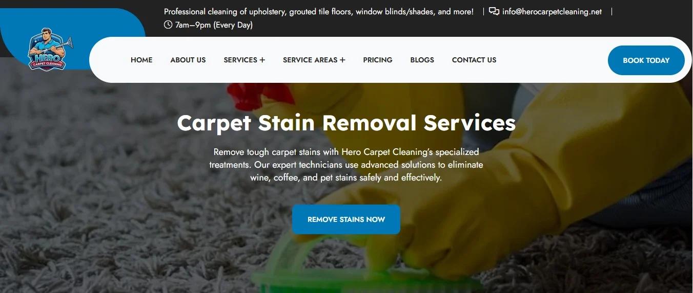 Hero Carpet Cleaning carpet stain removal Google Ads landing page