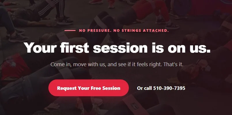 Teddy's Total Body website design, screen 7