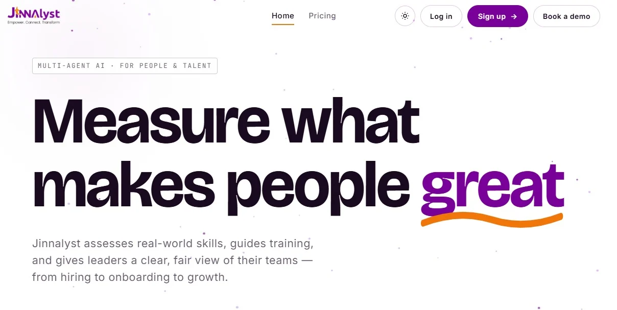Jinnalyst analytics platform WordPress website design