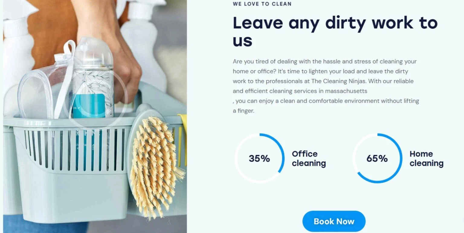 The Cleaning Ninjas website design, screen 3