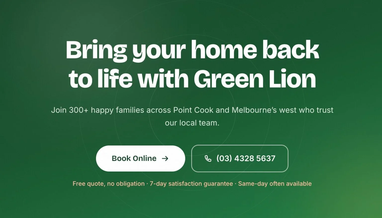 Green Lion Carpet Clean website design, screen 7