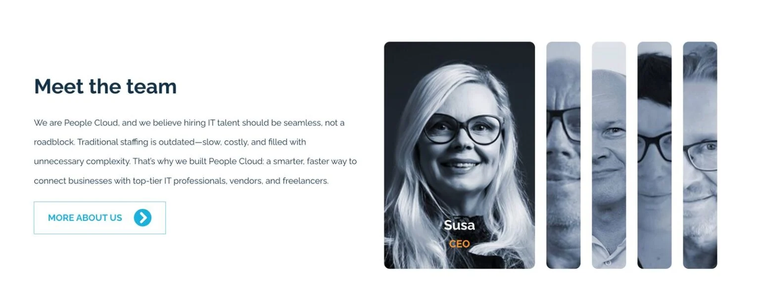 People Cloud Pro website design, screen 3